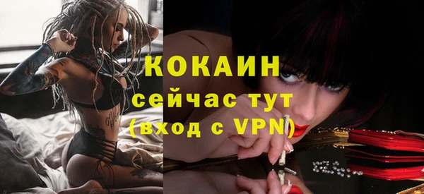 эйфоретик Каменка