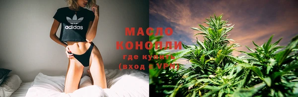 эйфоретик Каменка