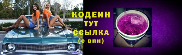 спиды Каменногорск