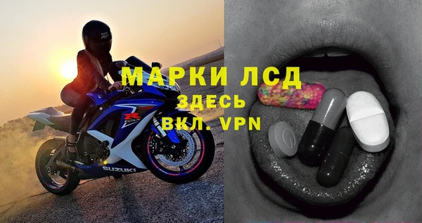 спиды Каменногорск
