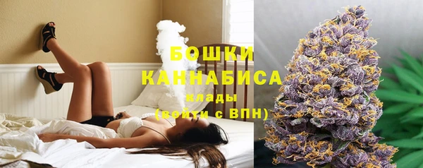 эйфоретик Каменка