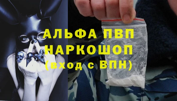эйфоретик Каменка