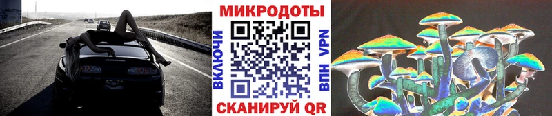 Галлюциногенные грибы Cubensis Жирновск