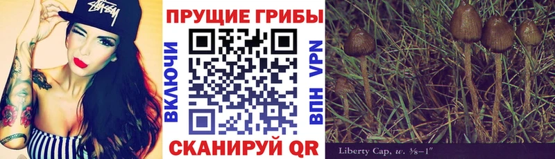 Купить закладки  Жирновск  Псилоцибиновые грибы прущие грибы 